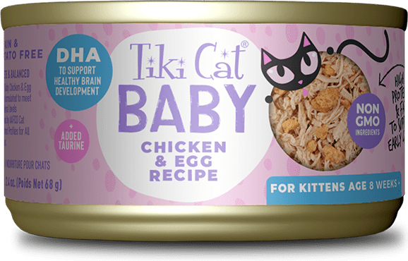 Tiki Cat Baby Kitten Whole Foods With Chicken & Egg Recipe